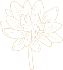 blossoming lotus _ Mind-Body Wellness _ Spokane