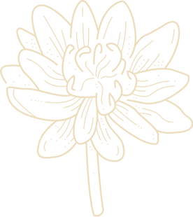 blossoming lotus _ Mind-Body Wellness _ Spokane