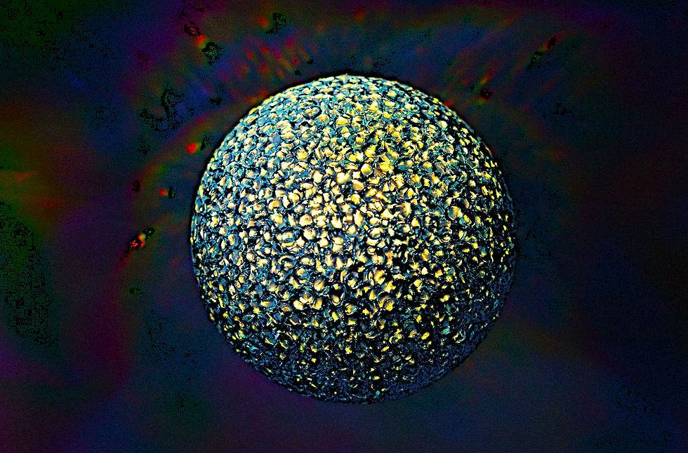 Friends of Photography Exhibition Opening