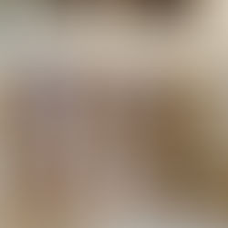 Random Blog: The Bed