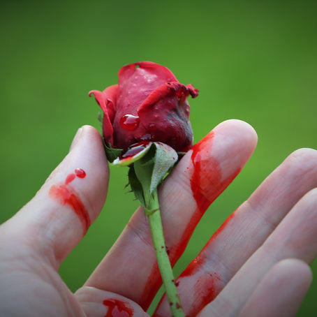 Wednesday Devotional: A Faith Lesson from My English Teacher