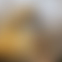 Seven-Day Practical Faith Blog: The Antidote to Fear