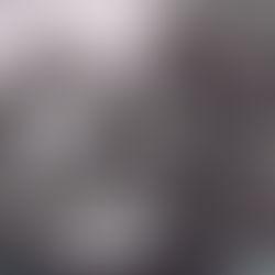 Seven-Day Practical Faith Blog: Choose the Path of Gratitude