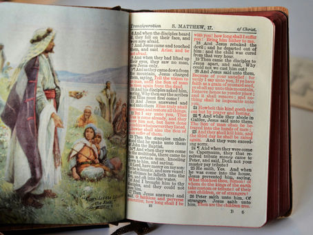 Seven-Day Practical Faith Blog: Living the Red Letters of Jesus