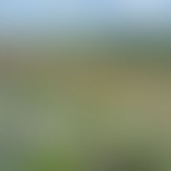 7-Day Practical Faith Blog: Feels Like Home