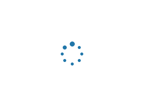 loading (1).gif