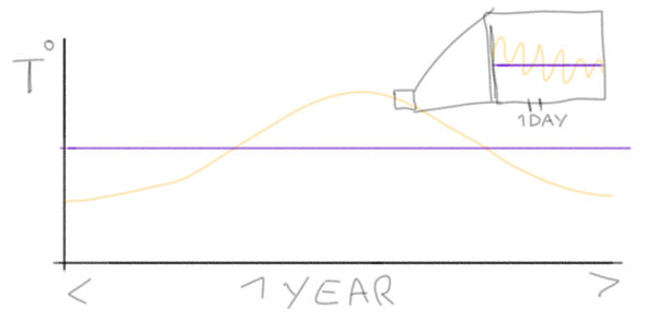 1 year.jpg