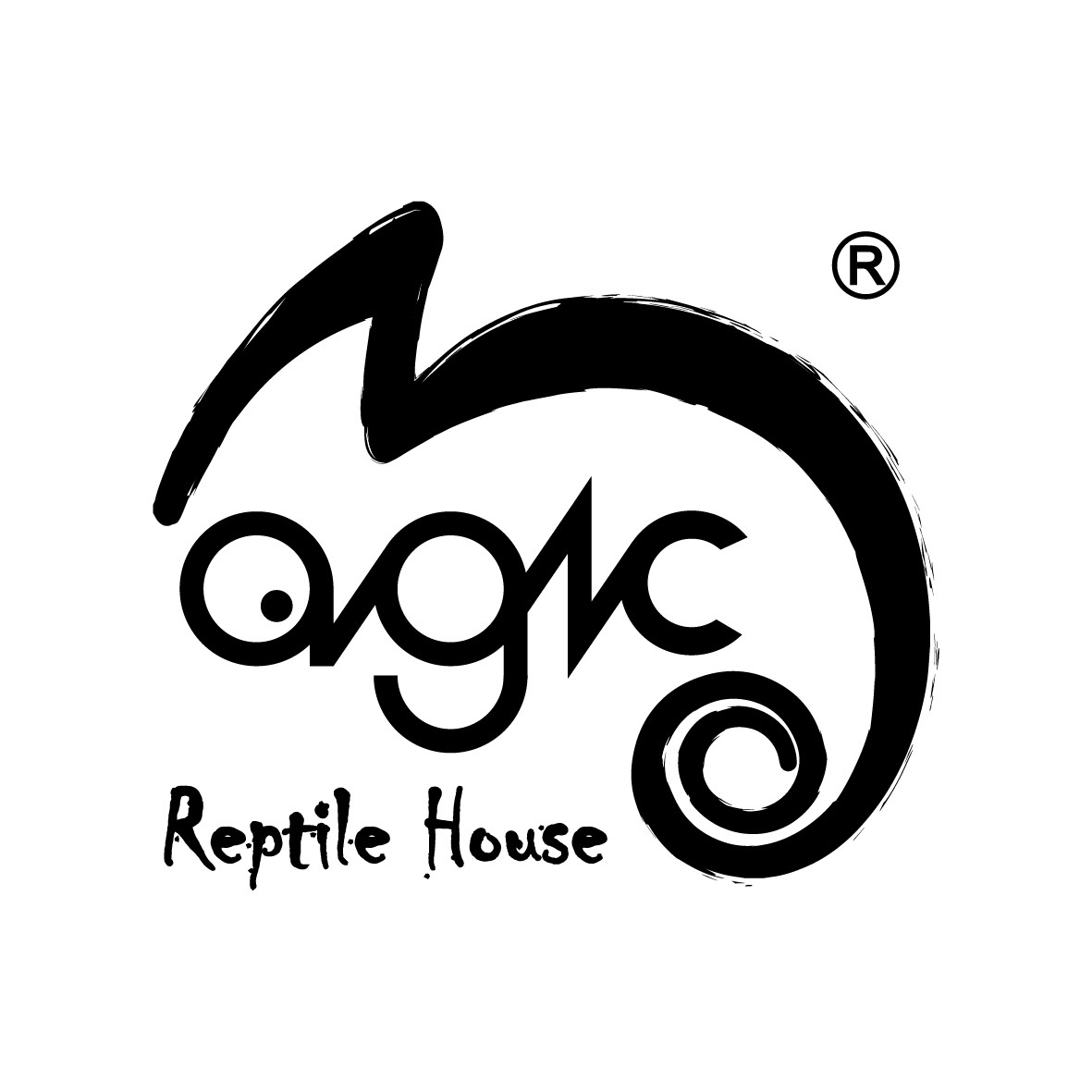 Home Magic Reptile House