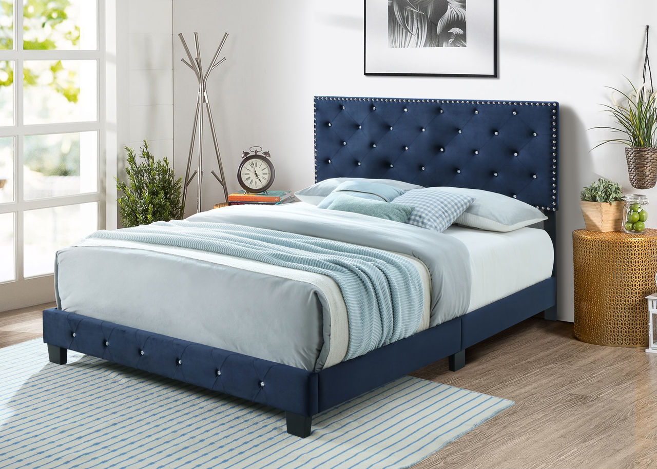 starlett midnight blue