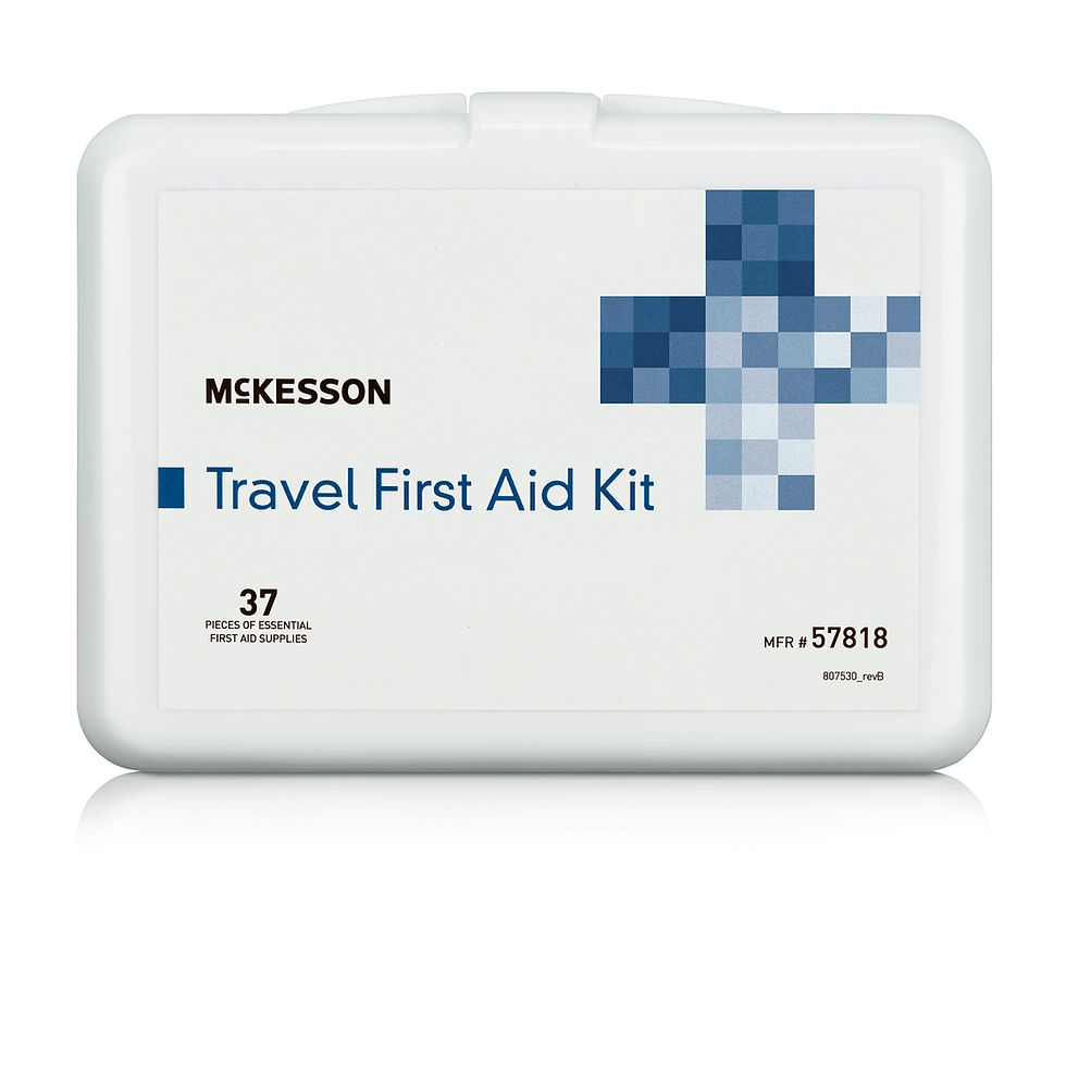 McKesson Travel First Aid Kit