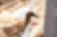 ducks at Kims Nurturing Nest.jpg