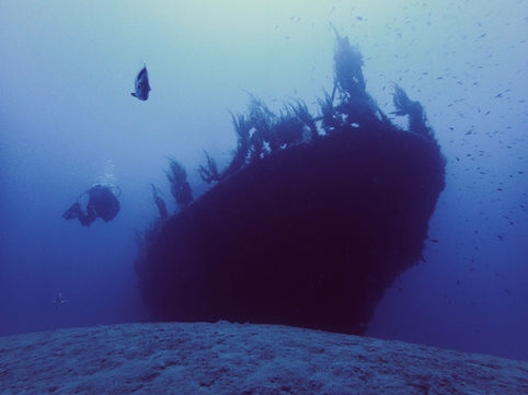 French Touch Diving