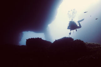 French Touch Diving