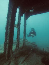 French Touch Diving