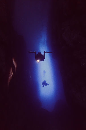 French Touch Diving