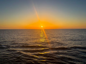 SEAS the Day - 03.02.26