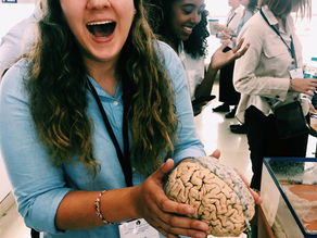 Brains and Gourmet Lunch - 08.07.19