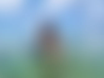 Cuckoo for Cozumel - 03.03.26