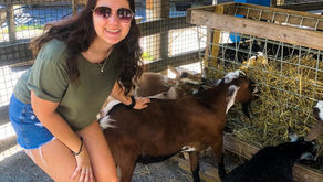 The Maryland Zoo in Baltimore