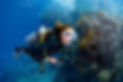 Open Water Niveau 1 Plongée Malte.jpg
