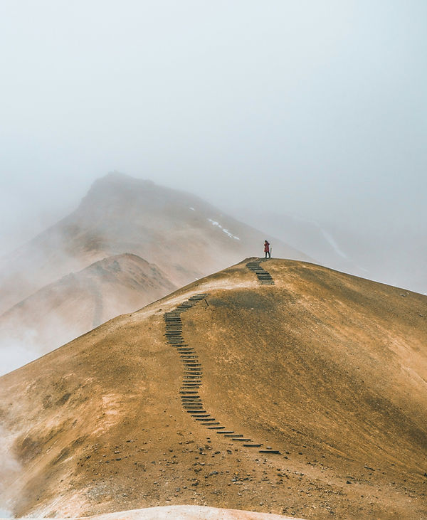 alexander-milo-HwxVLhLyg2s-unsplash(1).jpg