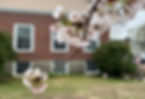 Spring blooming tree in front of Melrose Montessori School