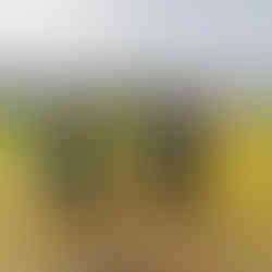 meninas jogando futebol