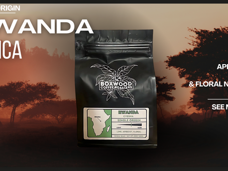 Rwanda Cyesha: A Single Origin Delight from Boxwood Coffee Roasters