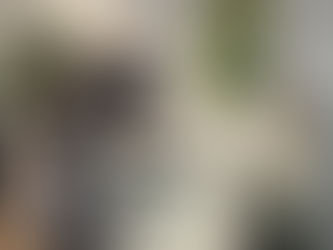 Kaj pričakovati pri prvi EMS preizkušnji