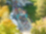 Race Day Events start line header.jpg