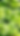 SG Background.png