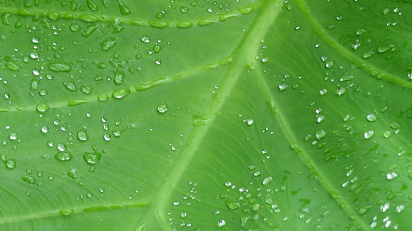 Untitled design (85).png