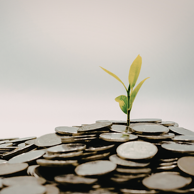 GGIA 2026 - UDP Images (5).png