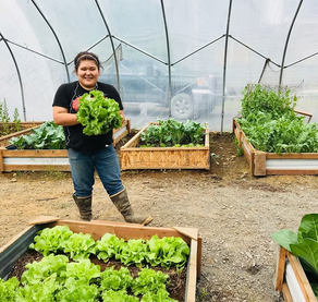 Spring Planting Festival - 2025