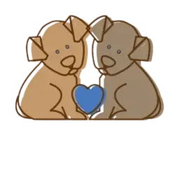 QUIZ NIGHT FUNDRAISER