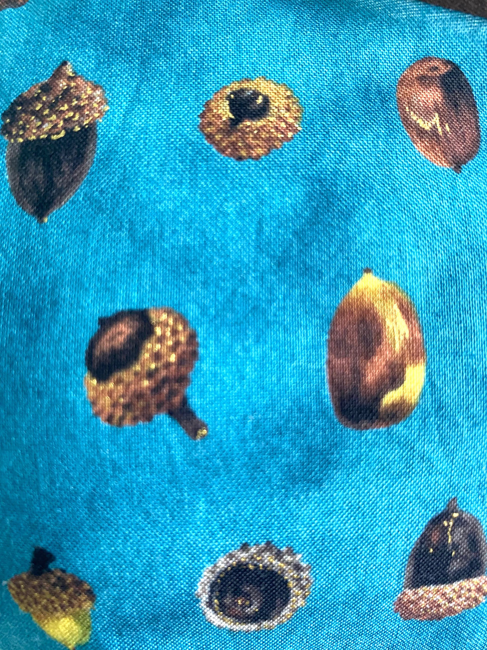 Thumbnail: Acorns on Teal Retro Apron