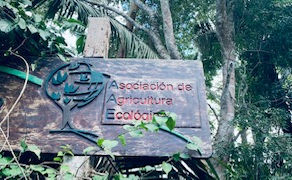 Agricultura Organica Luis Farfan