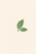 ChatGPT Image Sep 6, 2025, 06_40_11 PM.png