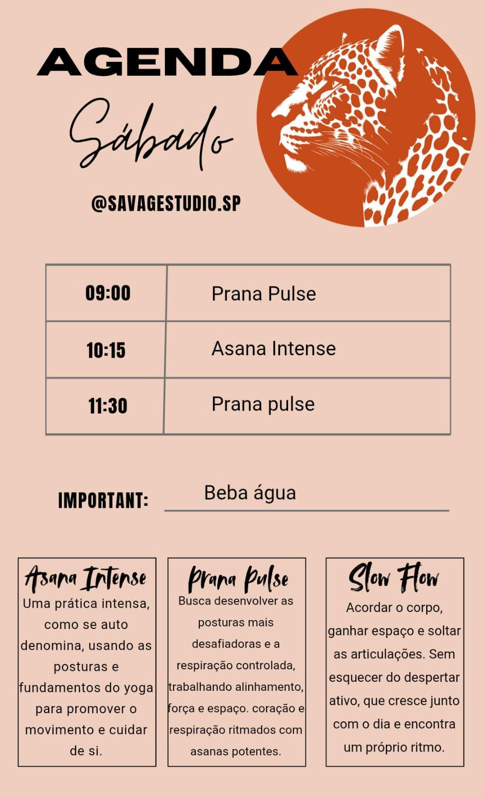 Miniatura: aula avulsa