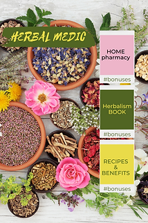 травник-книга (11).png