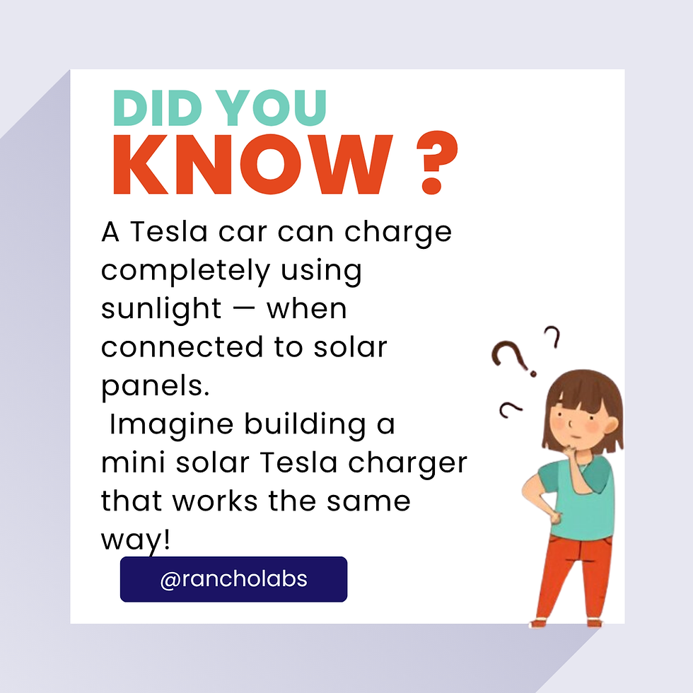 Fact about tesla cars
