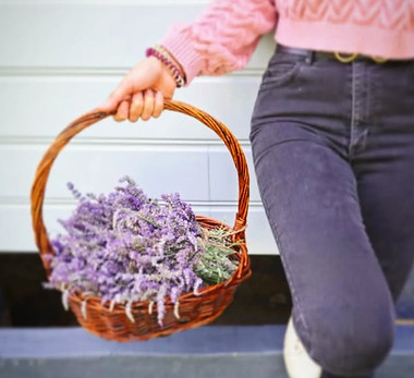 Lavender Photoshoot8.jpg