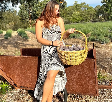 Lavender Photoshoot2.jpg