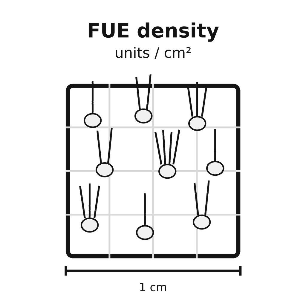 04_fue_density_units_per_cm2.png