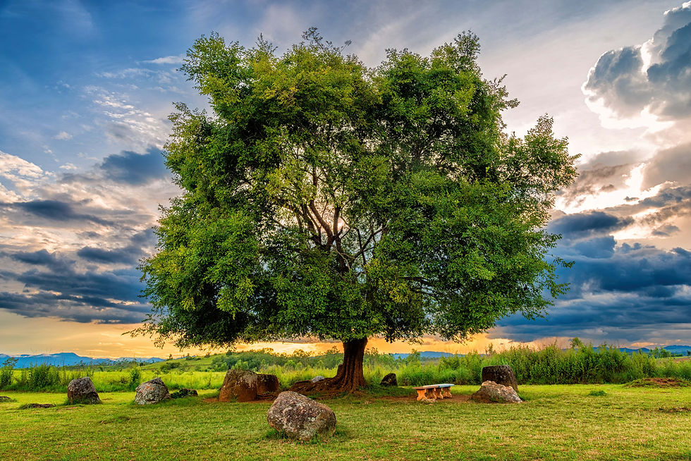 Plain of Jars is a megalithic archaeological landscape.
