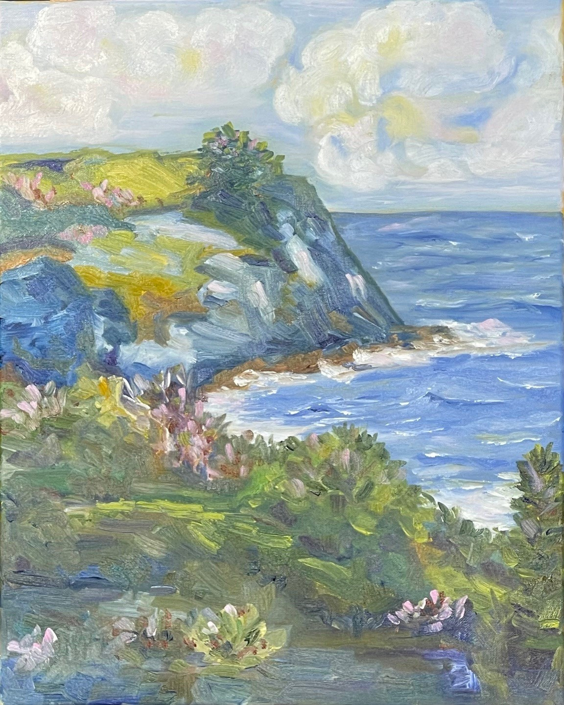 Coastal Bluffs in Bloom