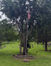 Riverside board to renovate cemetery’s memorial to vets