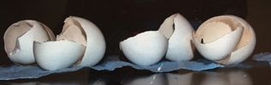 2006: An easy way to please a crowd: Ziplock Omelets, Arsene Burton