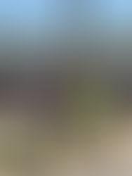 Lampton Electric fulfills the bill as a family affair