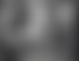 Barber believed in the U.S. Constitution, and Republican
party principles